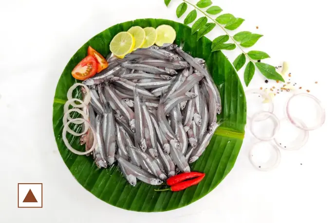 Anchovy / നെത്തോലി / Netholi (Medium) (Whole-500g)