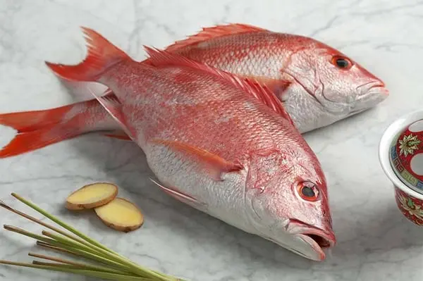 Red Snapper / Chempalli / Rane (Large)