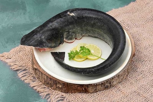 Boal Fish / Attu Vaala / Malli - Whole(500 gm)